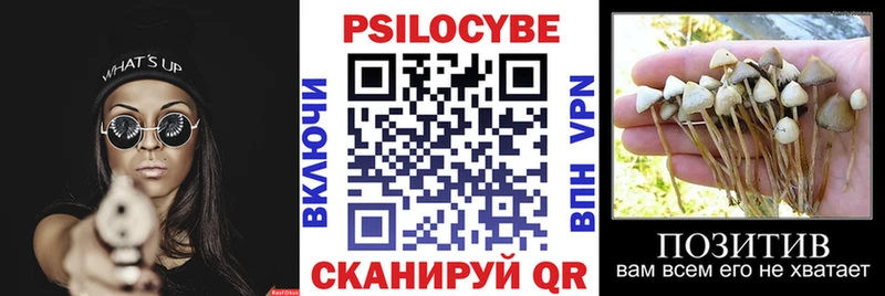 дарк нет телеграм  Донской  Псилоцибиновые грибы Cubensis  кракен tor 