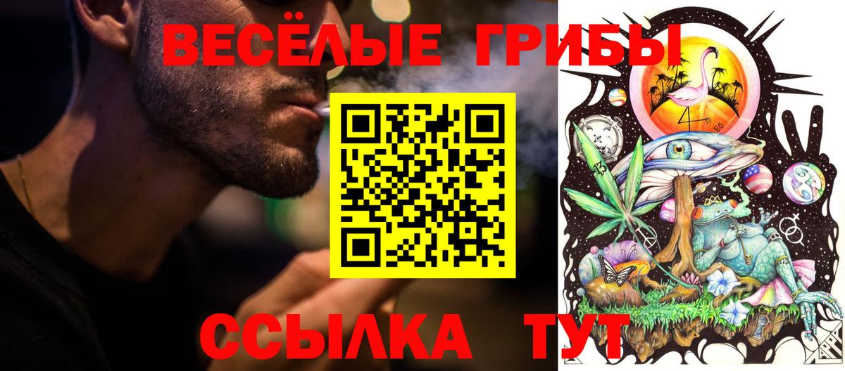 Псилоцибиновые грибы MAGIC MUSHROOMS  Донской 