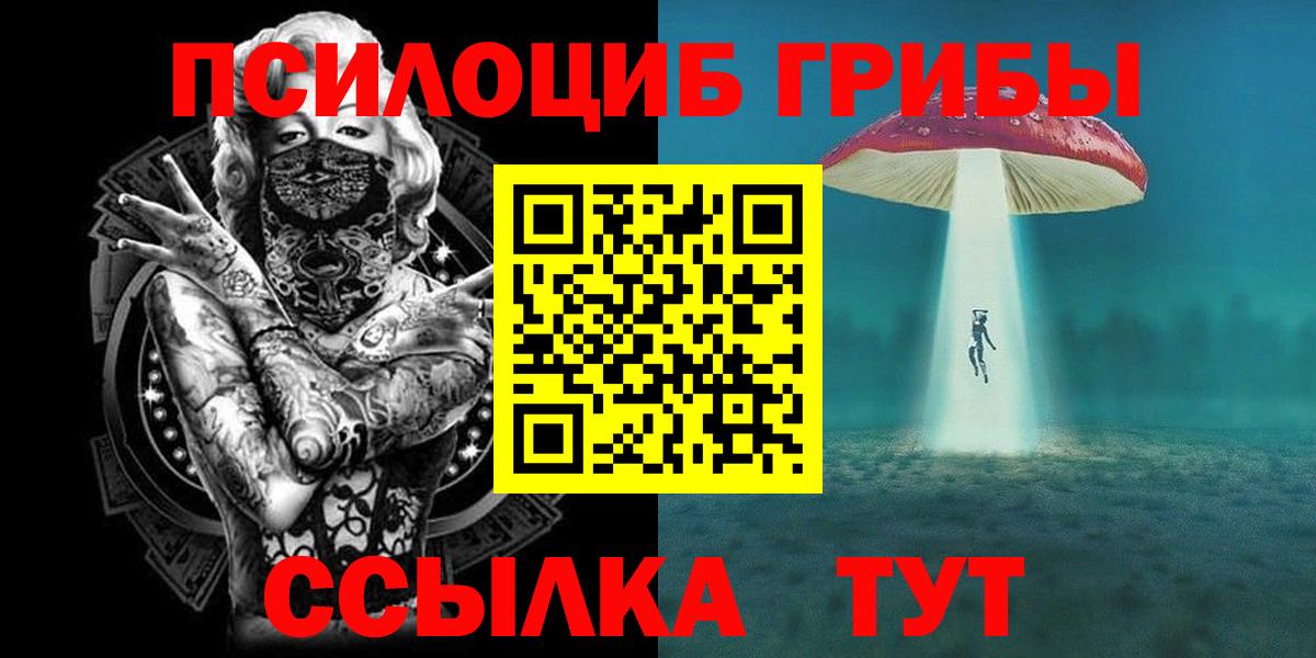 Псилоцибиновые грибы Cubensis Донской