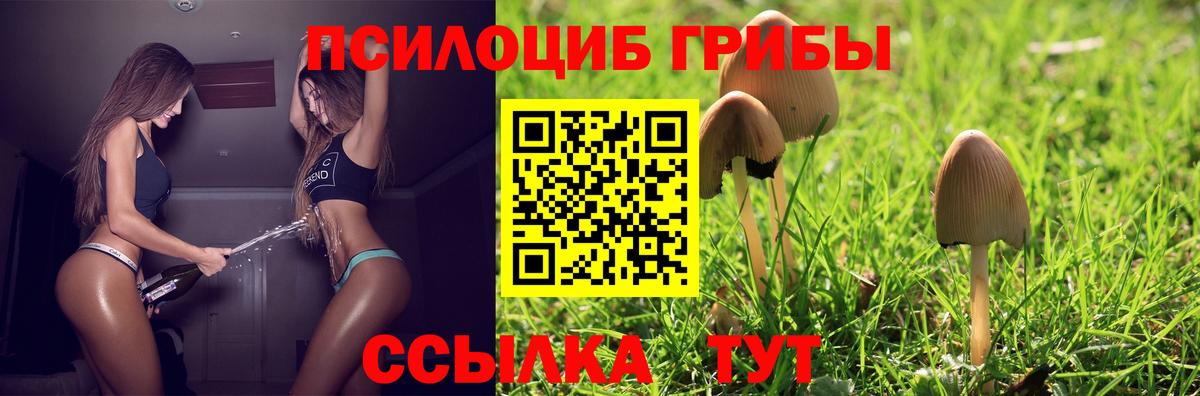 Галлюциногенные грибы ЛСД Донской
