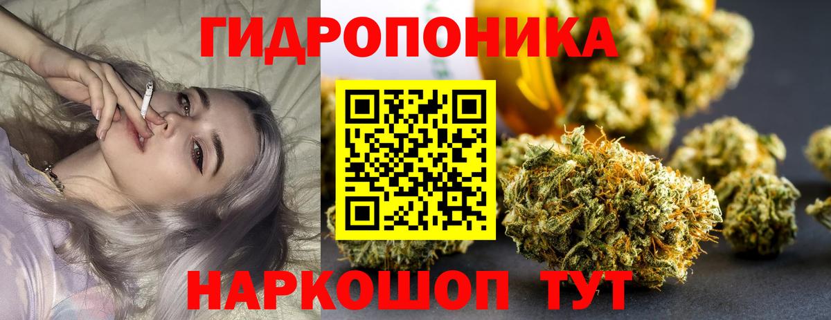 Донской  Канабис AK-47  Конопля индика  Вход с VPN 